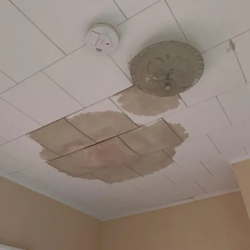 Ceiling Water Damage Repair in Waller, TX